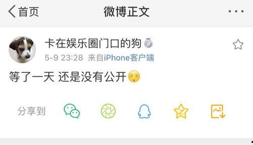 火爆吃瓜爆料图片高清,高清爆料图背后的惊人真相